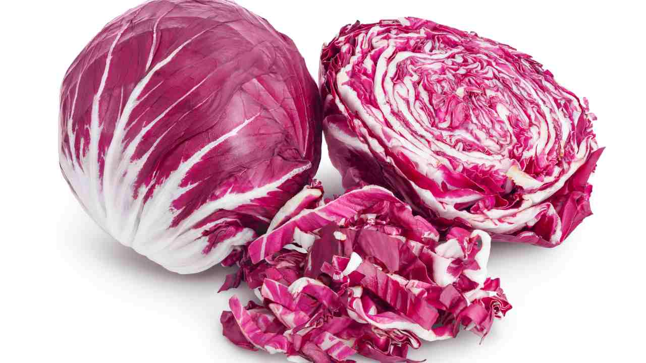 radicchio