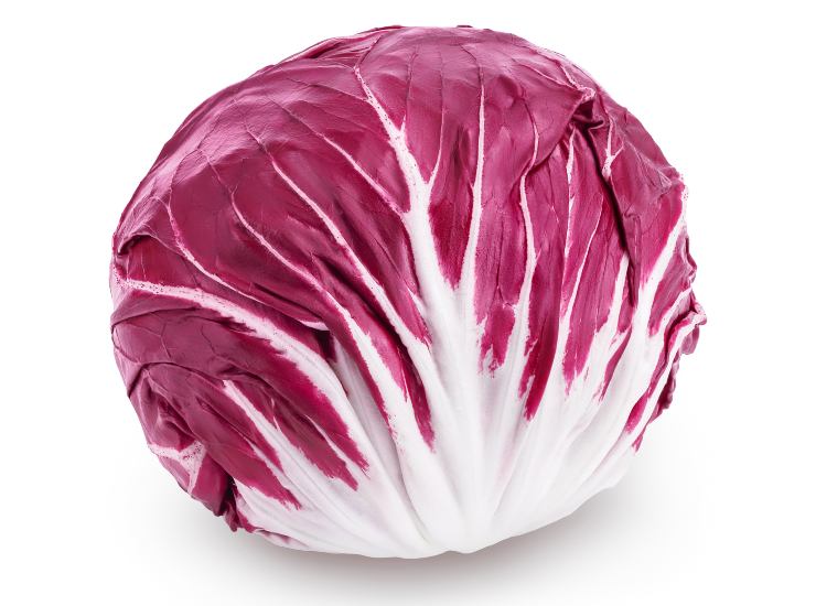 radicchio