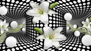 Illusioni ottiche ecco tutto quello che dovete sapere - cartoonmag.it Depositphotos