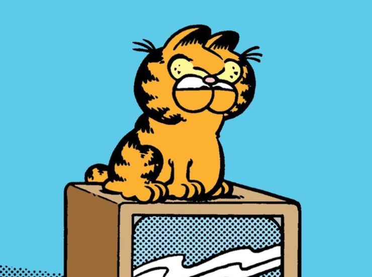 Personaggio dei fumetti - cartoonmag.it credit Instagram Garfield
