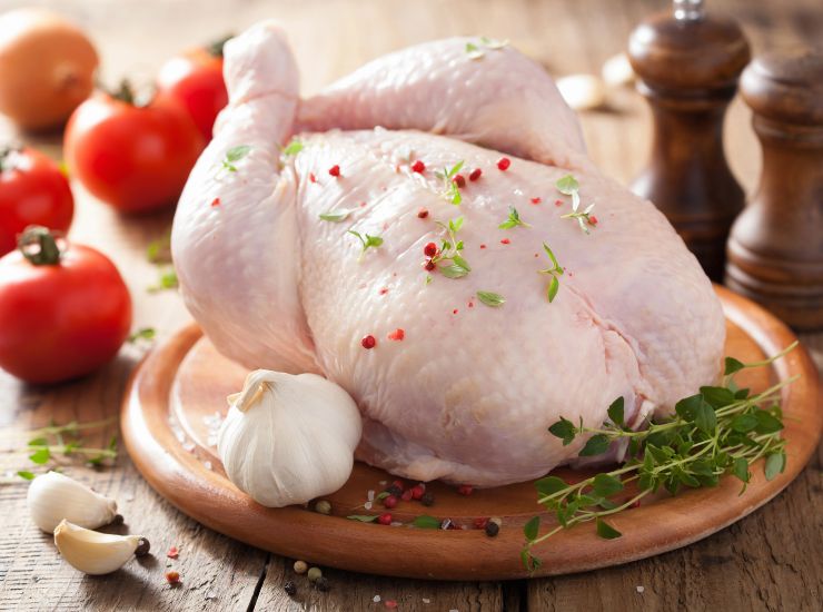 Pollo